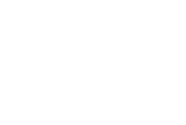 LeVie